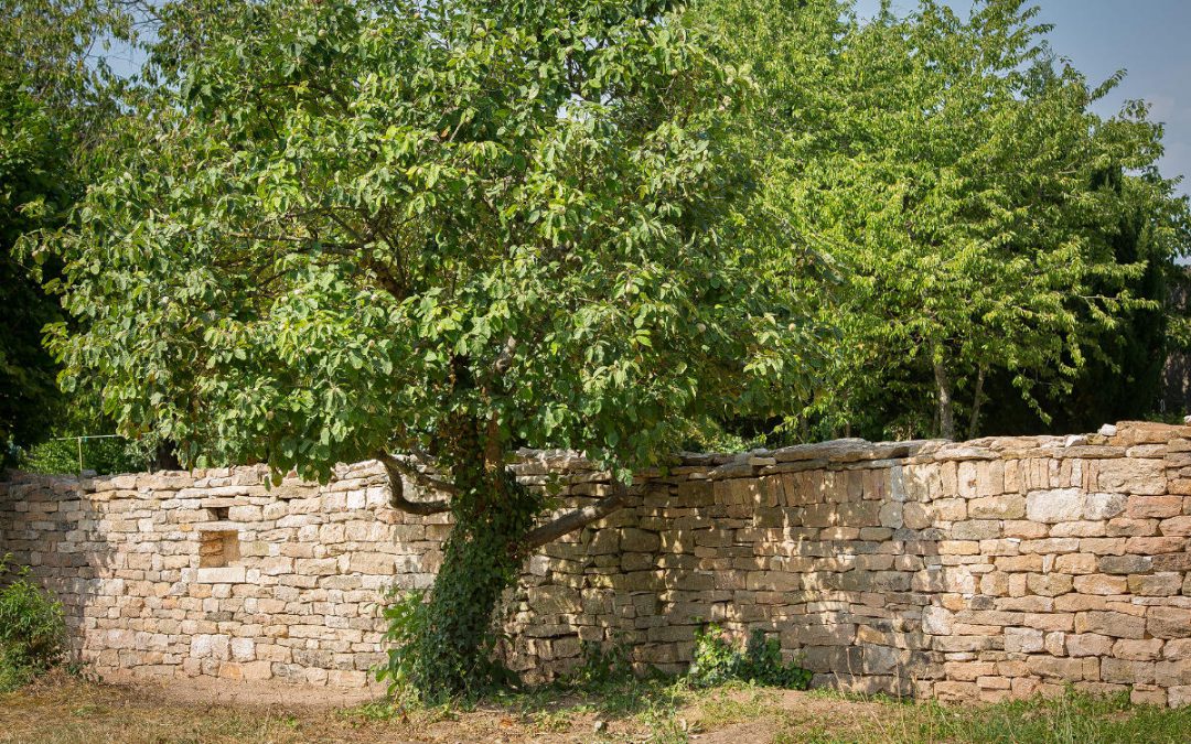 Mur de clôture Laheue (71)