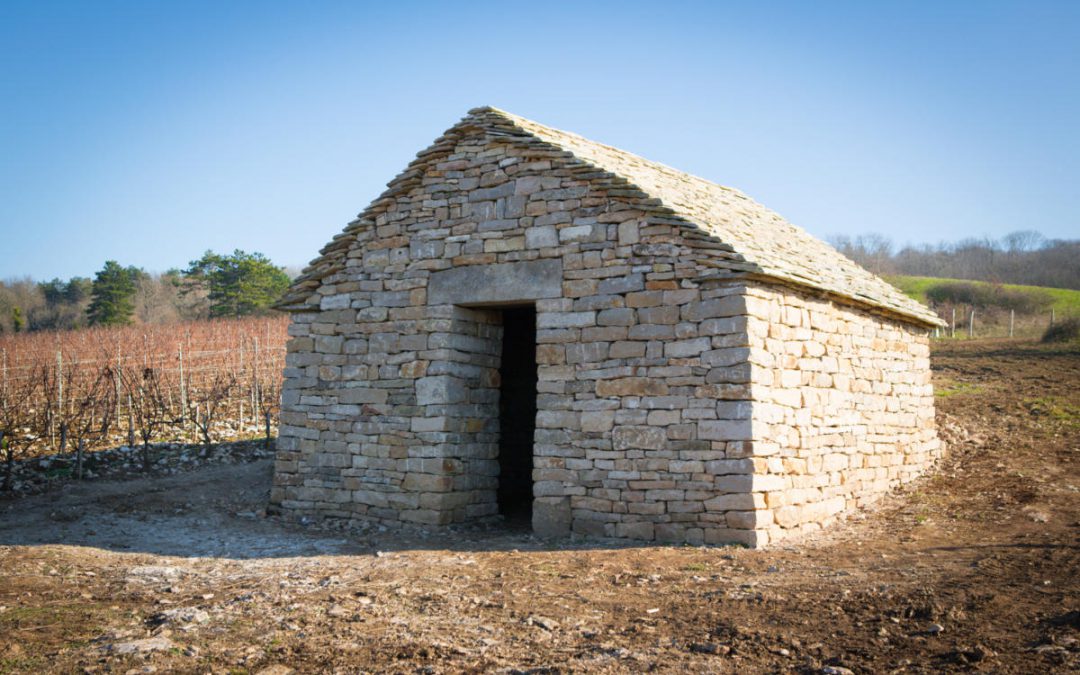 Caborde de vigne à Gy (70)