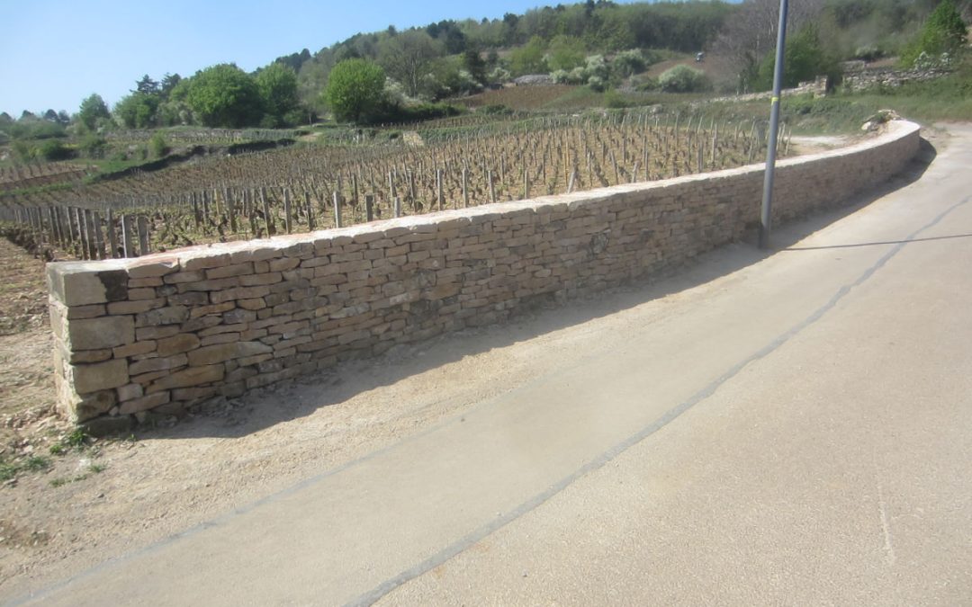 Restauration du mur de clôture à Chassagne-Montrachet (21)
