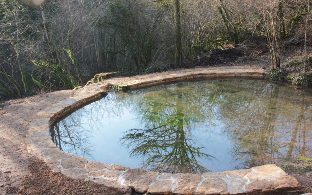 Restauration d&rsquo;une mare à Etaules (21)
